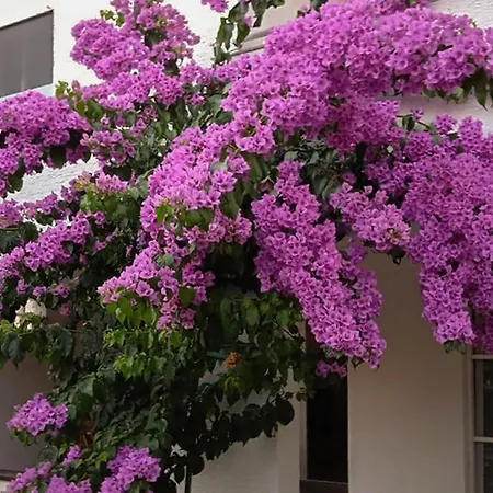 Awesome In With Wifi *