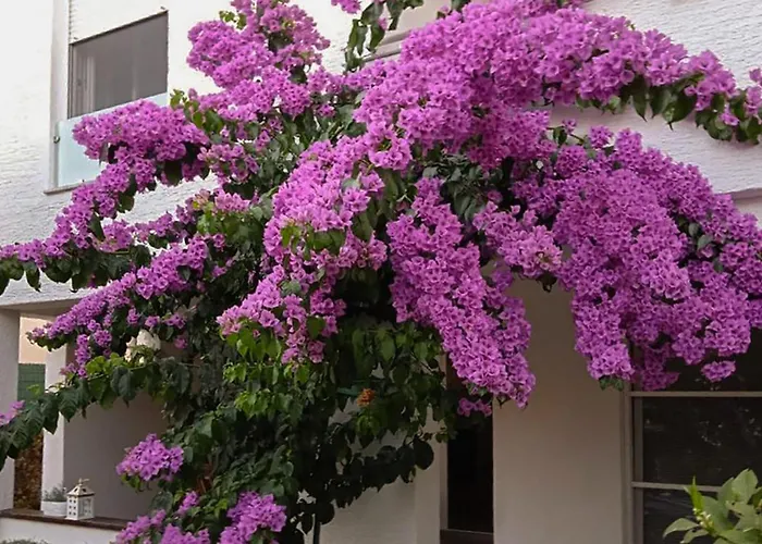 Awesome In With Wifi *